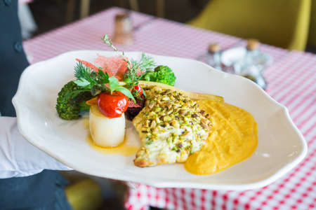 Dorado fillet from an Italian chef in the restaurantの写真素材