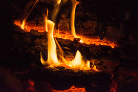Burning wood campfire in the night darkness close up