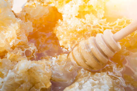 Fresh Yellow Honeycomb slice, close up photoの写真素材