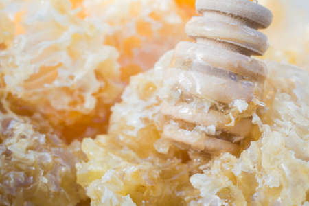 The slices of fresh honey in honeycombs close-upの写真素材