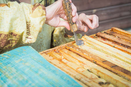 Outdoor authentic shoot of human hands without gloves with the beehive close-up