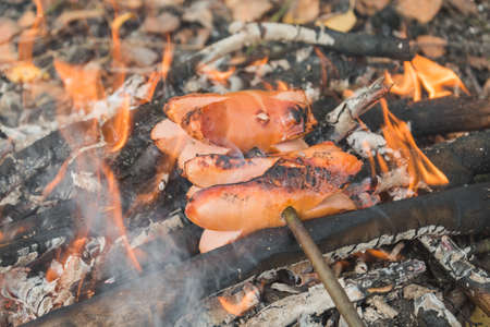 cooking sausages on a campfire on a camping trip or on a picnicの写真素材