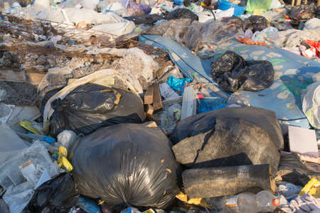 Garbage dump on the grass near the forest, ecological problem conceptの写真素材