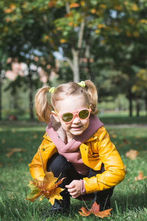Little three-year-old girl playing with feathery leaves in an autumn parkの写真素材