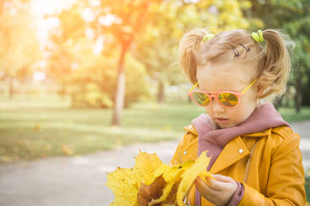 Little three-year-old girl playing with feathery leaves in an autumn parkの写真素材