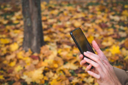 Woman Hands close up Use Cell Phone Outdoorの写真素材