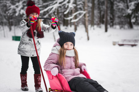 Two beautiful little girls sisters are playing in the winter parkの写真素材