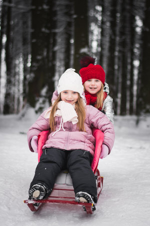 Two beautiful little girls sisters are playing in the winter parkの写真素材