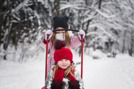 Two little girls playing in the winter forestの写真素材