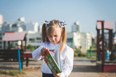 Little girl portrait on the playground in summerの写真素材