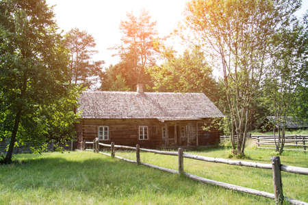 Old wooden house in the forest in summerの写真素材