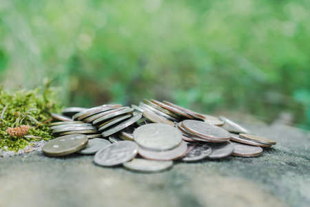 A pile of coins on a rock in the woodsの写真素材