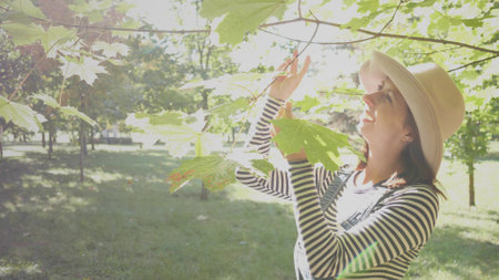 A woman is enjoying the beautiful nature while standing under a sunlit tree in a parkの写真素材