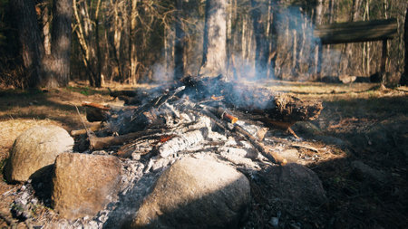 A Relaxing and Peaceful Campfire Experience in the Serene Forest during Nighttime