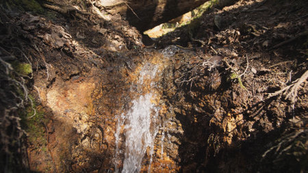 A Beautiful and Serene Waterfall Gracefully Flowing Through a Lush Forested Landscapeの写真素材