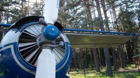 Vintage USSR Aircraft Propeller in a Lush Forest Setting, Showcasing Intricate Engineering and...