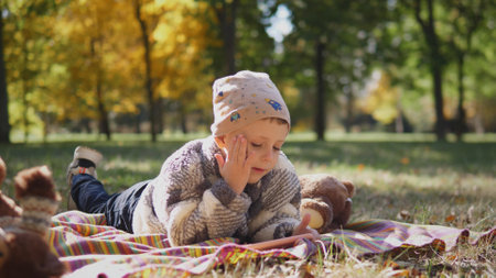 Child Enjoys a Sunny Autumn Day in the Park While Lying on a Blanket Surrounded by Plush Toys and Colorful Fallen Leavesの写真素材