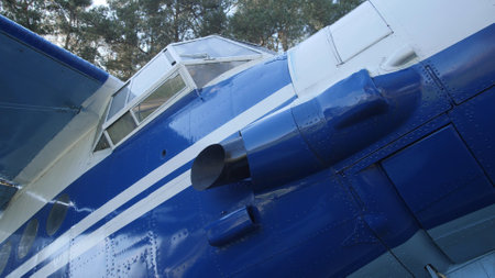 Vintage blue aircraft stands still, with sunlight highlighting its unique features, surrounded by...