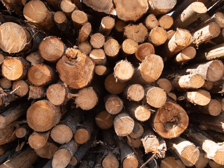 concentric circles with deep shadows, graphic composition with repetitive concentric circles and shadowingの写真素材