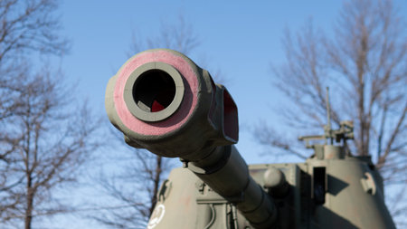 Tank Barrel And Turret Against Winter Trees And Pale Sky, Visitor Pathway Context, Curator Survey Vibe, Visible Hull Detail, Outdoor Museum Display Atmosphere