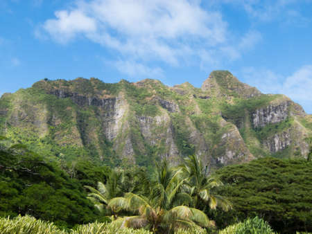 Oahu Paliの写真素材