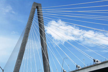 Detail of a suspension bridge with taught geometric wiresの写真素材