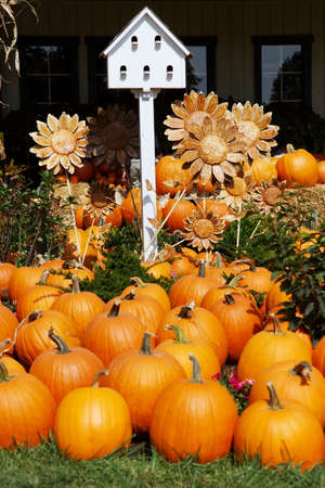 A collection of fall objects including pumpkins, a birdhouse and sunflowersの写真素材