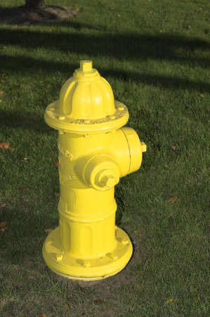 A bright yellow fire hydrant on a grass lawnの写真素材