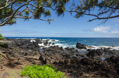 Maui coastline with blue skies and lava rocks