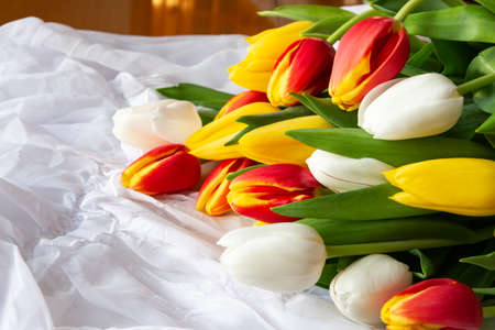Yellow and red tulips bouquet with water drops - white backgroundの写真素材