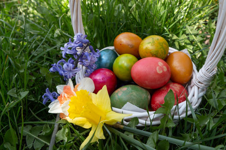 Easter eggs in nature with flowers - white basket