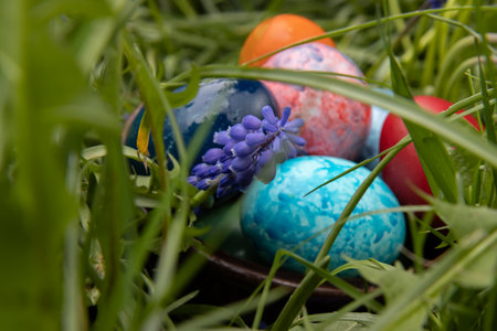 Colorful easter eggs in the grass. Selective focus.