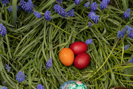 Easter eggs in the grass and flowers in the background. Easter concept