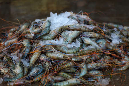 pile of fresh water giant river prawn scampi with ice for sale in indian shrimp market hdの写真素材