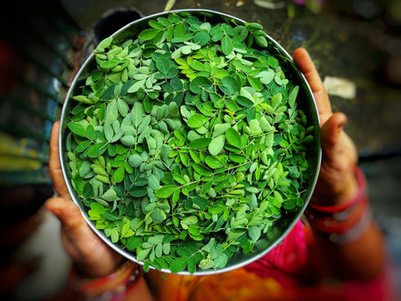 healthy and delicious moringa leaves in plate in nice blur background, moringa leaf green wallpaper HDの写真素材