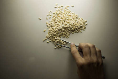 LABORATORY PHARMACEUTICAL INDUSTRY LAB SCIENCE MEDICAL HEALTHCAREの写真素材