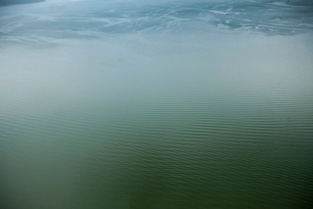 Aerial view of a beach in Brazilの写真素材