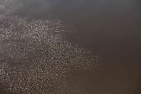 Aerial view of a beach in Brazilの写真素材