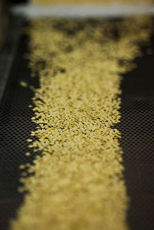 Production line pharmaceutical industry. Manufacturing of drugs and medications, pharmaceuticals.の写真素材