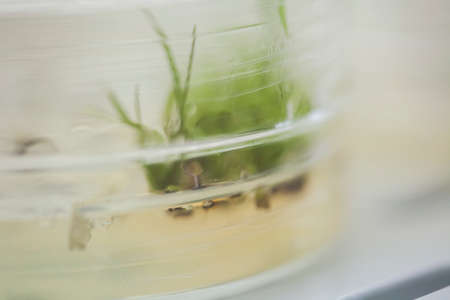 Production line pharmaceutical industry. Manufacturing of drugs and medications, pharmaceuticals.の写真素材