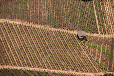 Aerial view of farm. Agriculture, plantation. High quality photoの写真素材
