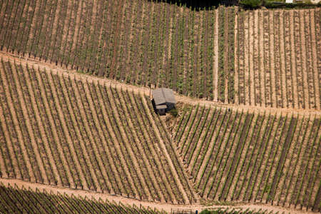 Aerial view of farm. Agriculture, plantation. High quality photoの写真素材
