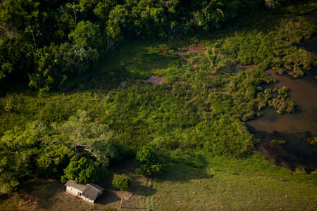 Aerial view of green forest. High quality photoの写真素材