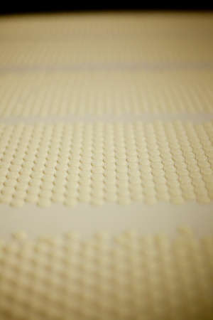 Chocolate production factory - production line. High quality photo. white chocolate
