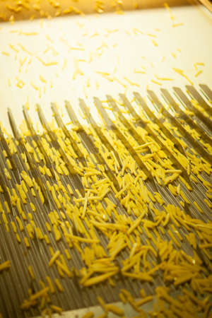 Production line of a potato factory. French fries - fast food.の写真素材