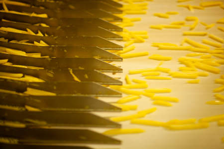 Production line of a potato factory. French fries - fast food.の写真素材
