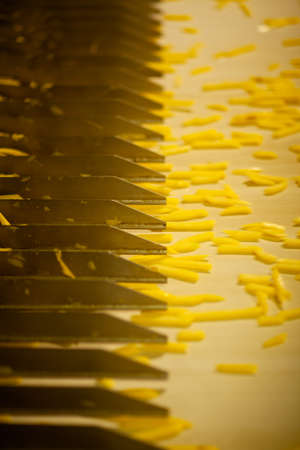 Production line of a potato factory. French fries - fast food.の写真素材