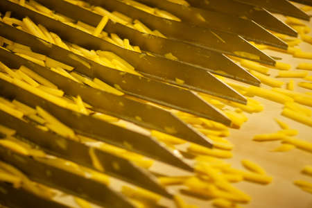 Production line of a potato factory. French fries - fast food.の写真素材