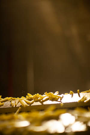 Production line of a potato factory. French fries - fast food.の写真素材