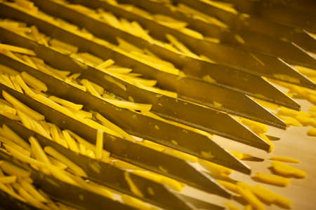 Production line of a potato factory. French fries - fast food.の写真素材